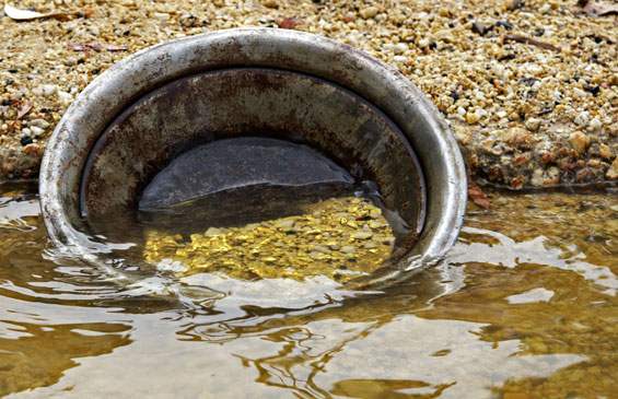 Panning For Gold Panning For Gold