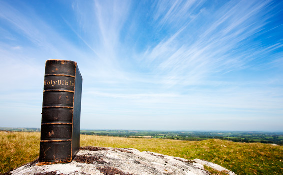 Bible Reading Plan