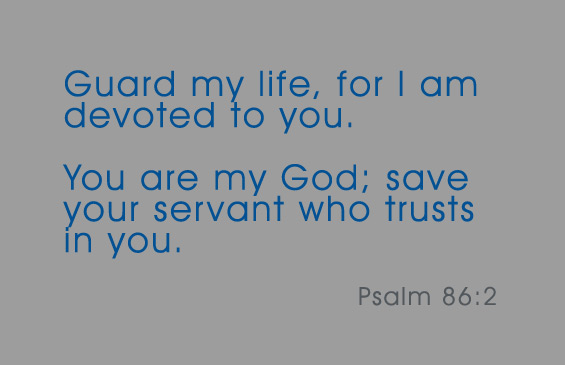Psalm 86:2 Psalm 86:2