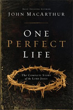 One Perfect Life