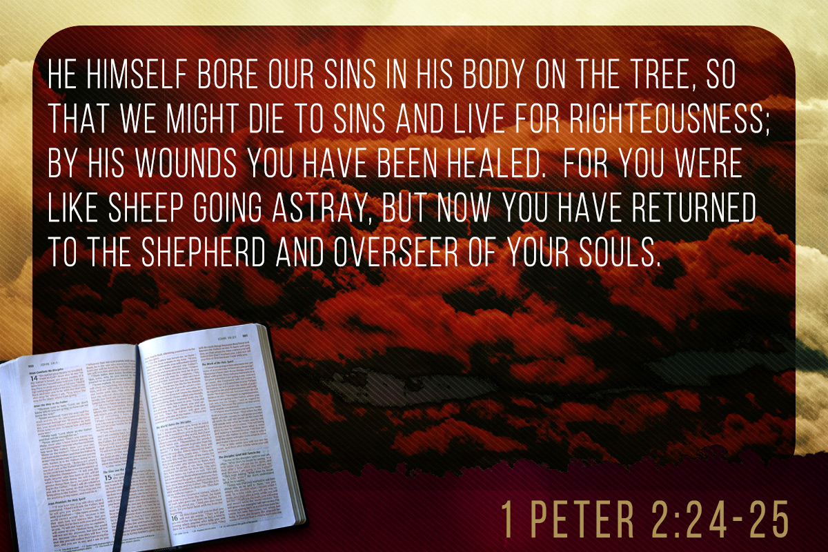 Memorize Scripture 1 Peter 2 24 25 JeffRandleman memorize-scripture-1-peter-2-24-25-jeffrandleman
