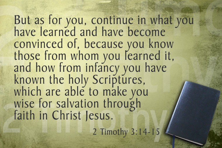 Memorize Scripture 2 Timothy 314 15 Jeffrandlemancom